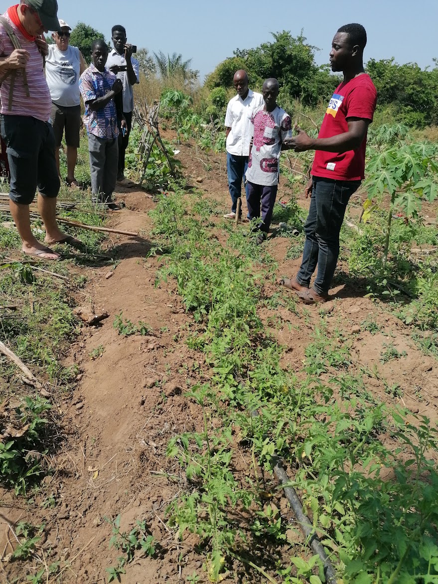 Saint-Varent Témedja